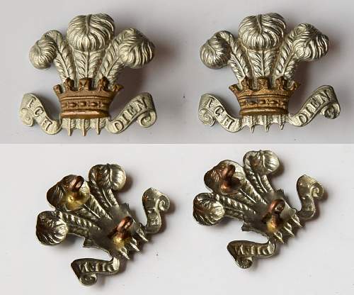 prince of wales collar badges