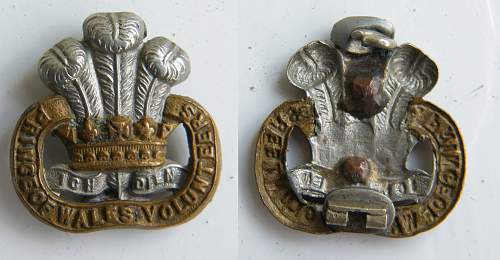 prince of wales collar badges