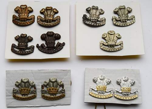 prince of wales collar badges