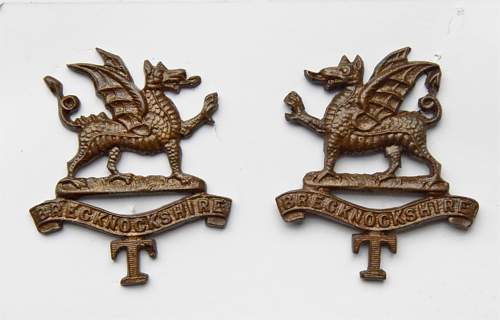 Brecknockshire TF Battalion SWB OSD collars