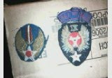 USAAF patch