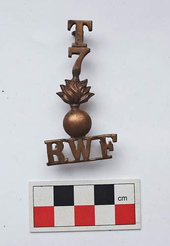 RWF shoulder titles