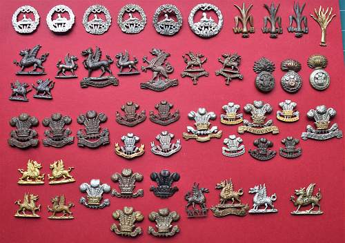 best of my welsh cap &amp; collar badges