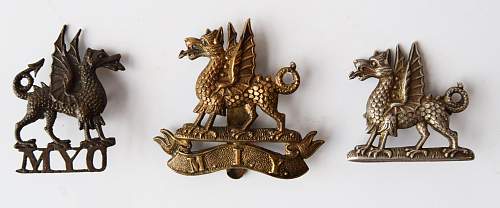 best of my welsh cap &amp; collar badges