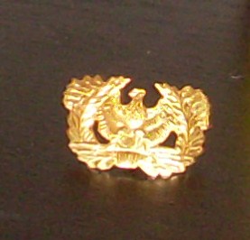 USAAF insignia. ww2 or fake? &amp; what are the cap badges?