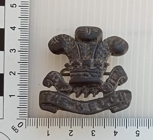 welch regiment POW cap badge