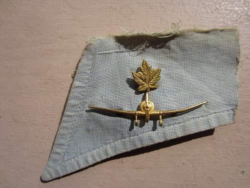 R.C.A.F.  - Unusual Collar Insignia