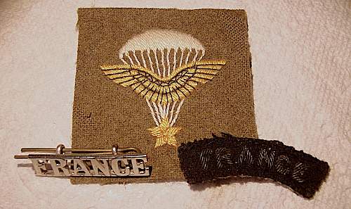 Cloth free french para badge, other ffi insignia