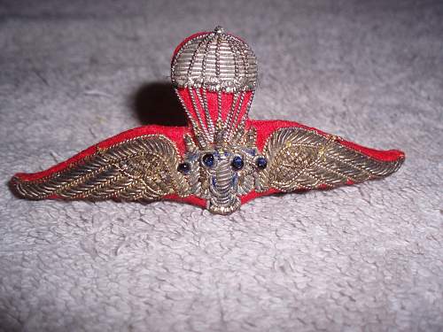 Paratrooper badge