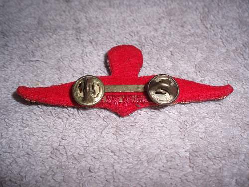 Paratrooper badge