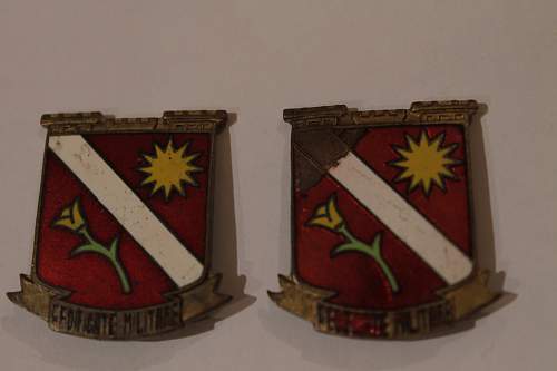 Need assistance in identifying and valuing badges for sale