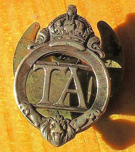 Unknown TA Lapel badge