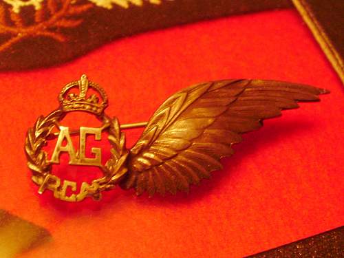 Jewelers made RCAF Flight Engineer half wing in silver ?