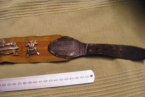 Stable Belt