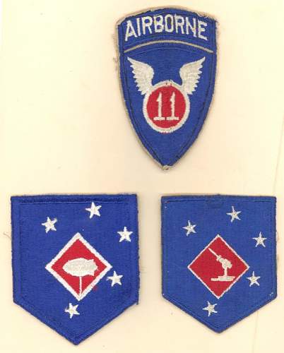 Thoughs of US airborne and marine insignia