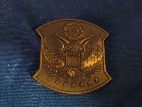 USAAF/Army Badge?