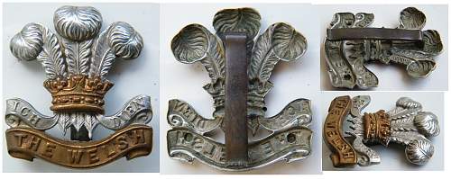 Welch cap badges