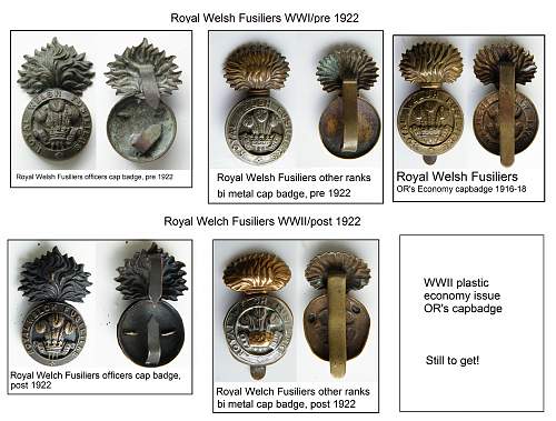 Welch cap badges