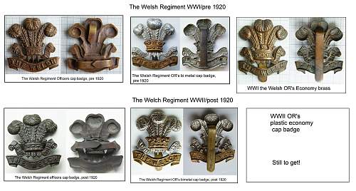 Welch cap badges