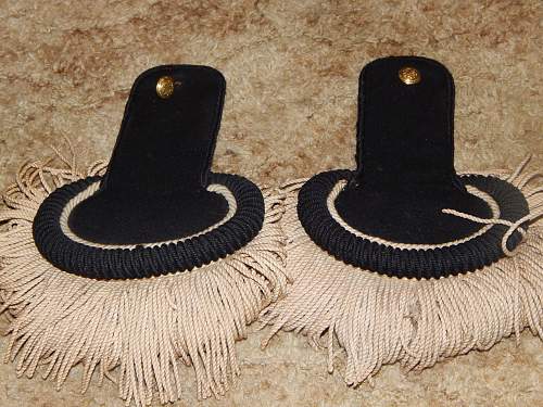 Can anyone tell me what these epaulets are from?