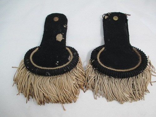 Can anyone tell me what these epaulets are from?