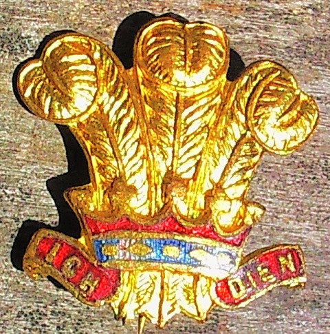 Welch cap badges