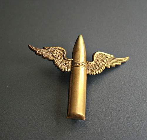 Wireless Operator Air gunner badge.