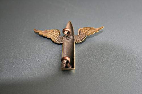 Wireless Operator Air gunner badge.