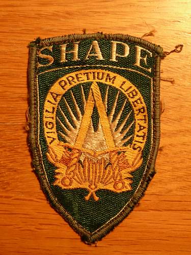 S.H.A.P.E Cloth Patch