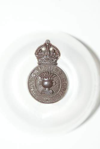 WW2 British Plastic Cap badges