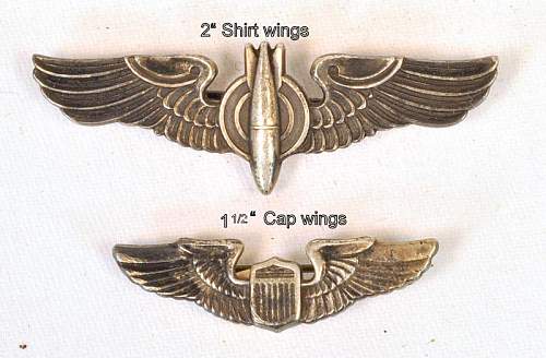 US Shirt &amp; Cap Wings- yard sale find