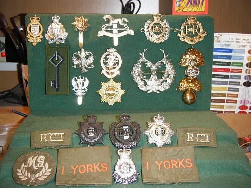 My cap badges (British)