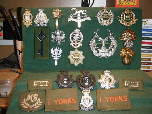 My cap badges (British)