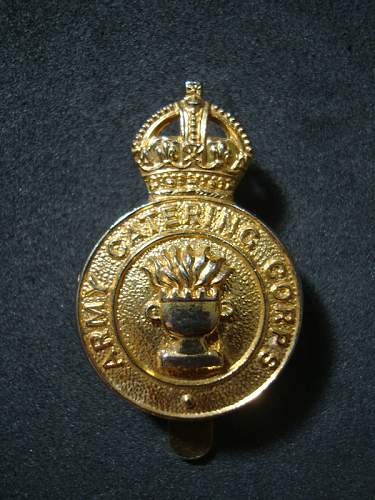 Some British Cap Badges for Review