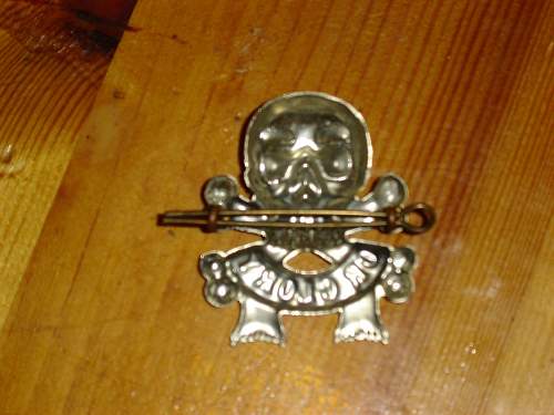 &quot;The Motto&quot;: 17th/21st Lancers cap badge