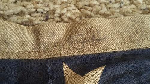 Help! 2ND INF DIV 9TH REG 1944 Flag?