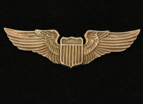 USAAF &quot;Juarez&quot; type Pilots wing.