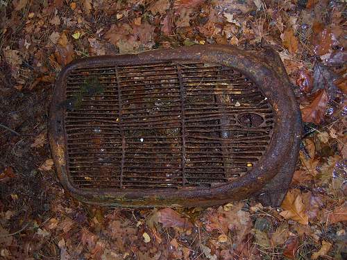 Grille found in the woods