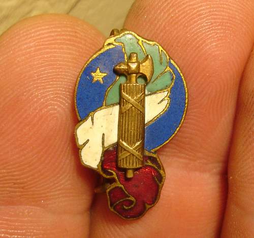 ... Scarce, early PNF pin badge ?    Any info?