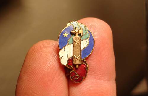... Scarce, early PNF pin badge ?    Any info?