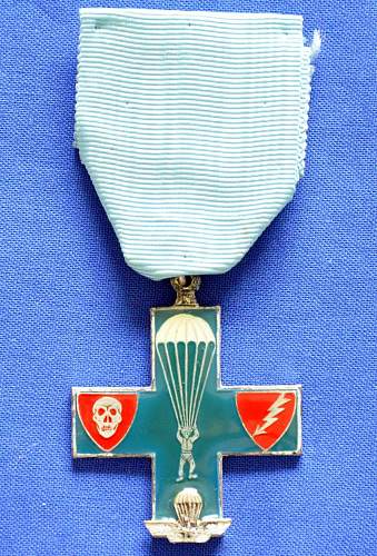 Paratroopers Medal?