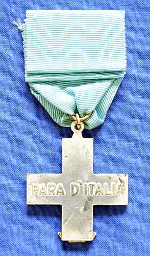 Paratroopers Medal?