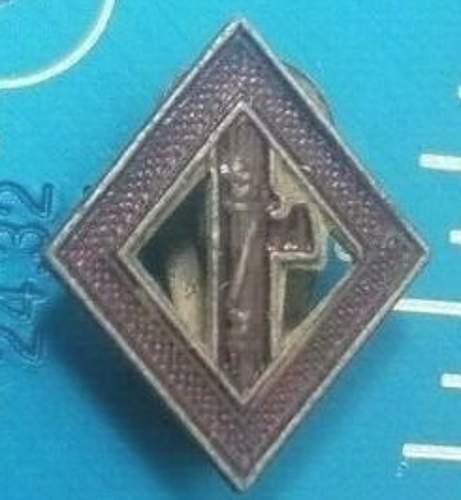 Unknown PNF Lapel Badge for ID