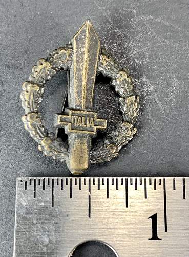 ANR collar insignia?