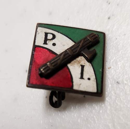 Italian Political Pin