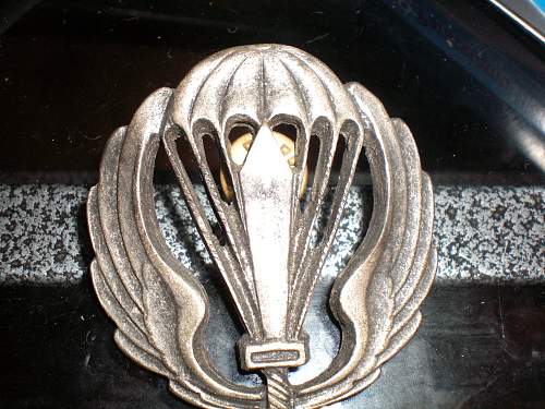 Unknown Paratrooper Badge.....