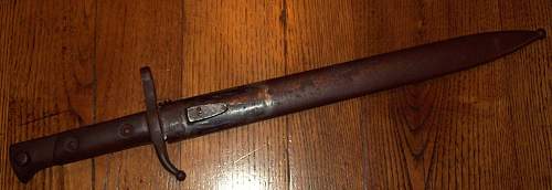 Thoughts on this Italian M91(?) Bayonet and Scabbard?