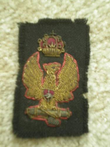 WW2 Italian Bullion insignia