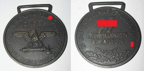 SS Italian medal?