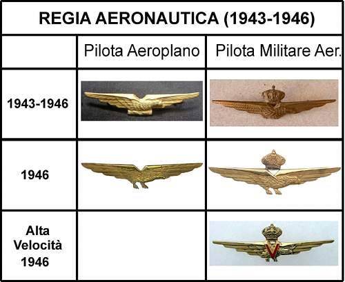 Italian pilot badge RSI Mussolini?